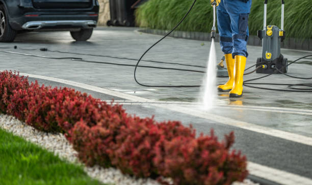 Best Concrete Sealing  in Vassar, MI
