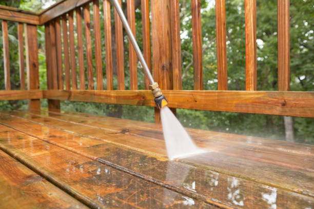 Solar Panel Cleaning in Vassar, MI